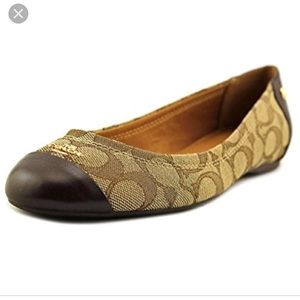 Coach Chelsea outline khaki/chestnut NEW size 8